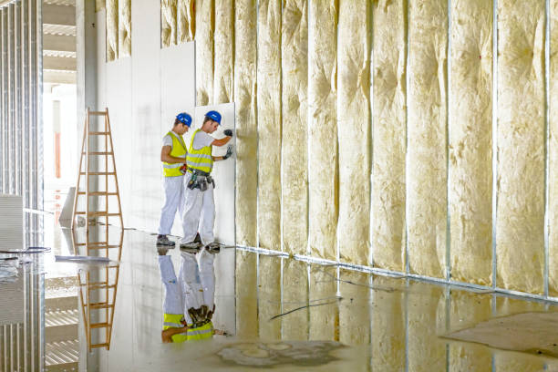 Best Types of Insulation in Hampton, IA